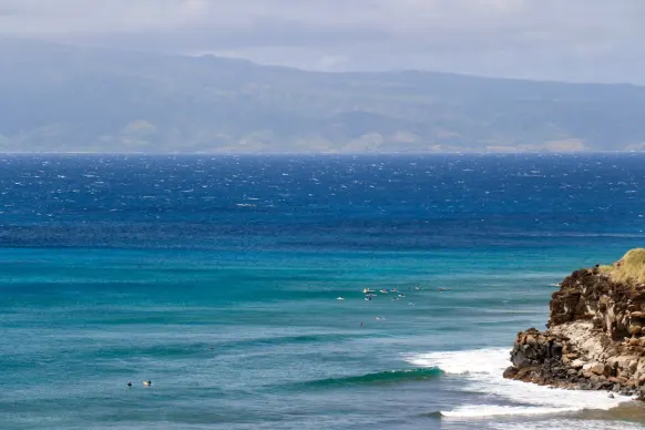 Kasino Two Fat Ladies Bingo Tuki